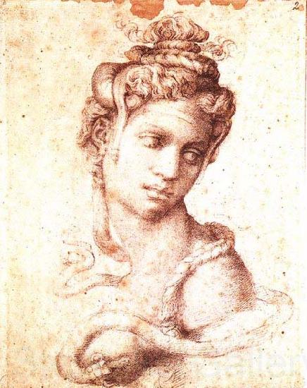 Michelangelo Buonarroti Cleopatra